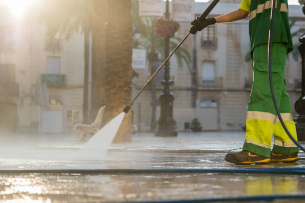 Best Solar Panel Cleaning  in Bunker Hl, IL